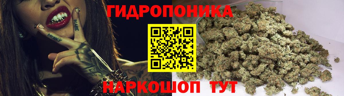 Канабис семена  Бошки марихуана сатива  Мурино  Вход с VPN  Конопля Bruce Banner 